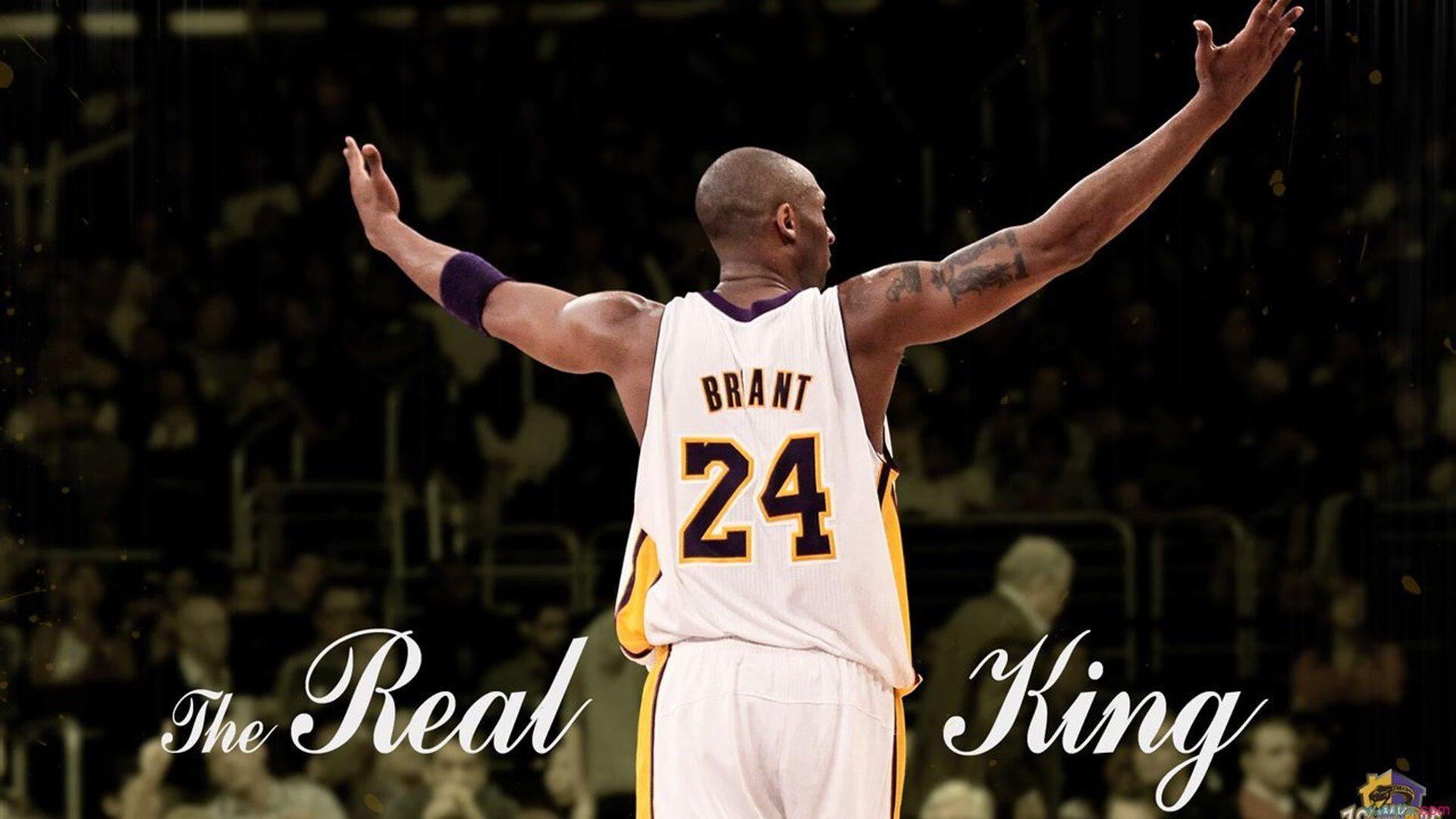 开云体育最新地址-“英超焦点：新星闪耀，助力争冠”，英超当红新星